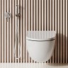 Унитаз KLUDI RESA D 24WCW0243 подвесной безободковый